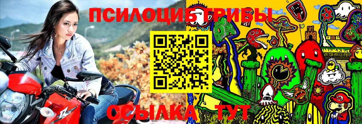 купить наркоту  Вход с VPN  Россия  Галлюциногенные грибы GOLDEN TEACHER 