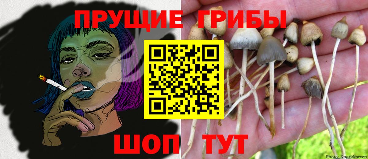 Галлюциногенные грибы MAGIC MUSHROOMS Россия