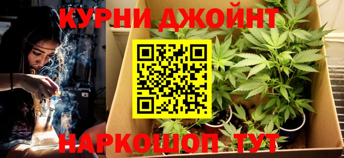 Россия  Бошки Шишки OG Kush  Каннабис конопля  Вход с VPN  Бошки Шишки сатива 